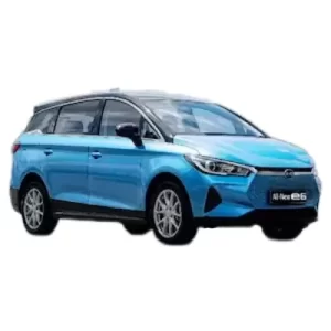 know about BYD E6